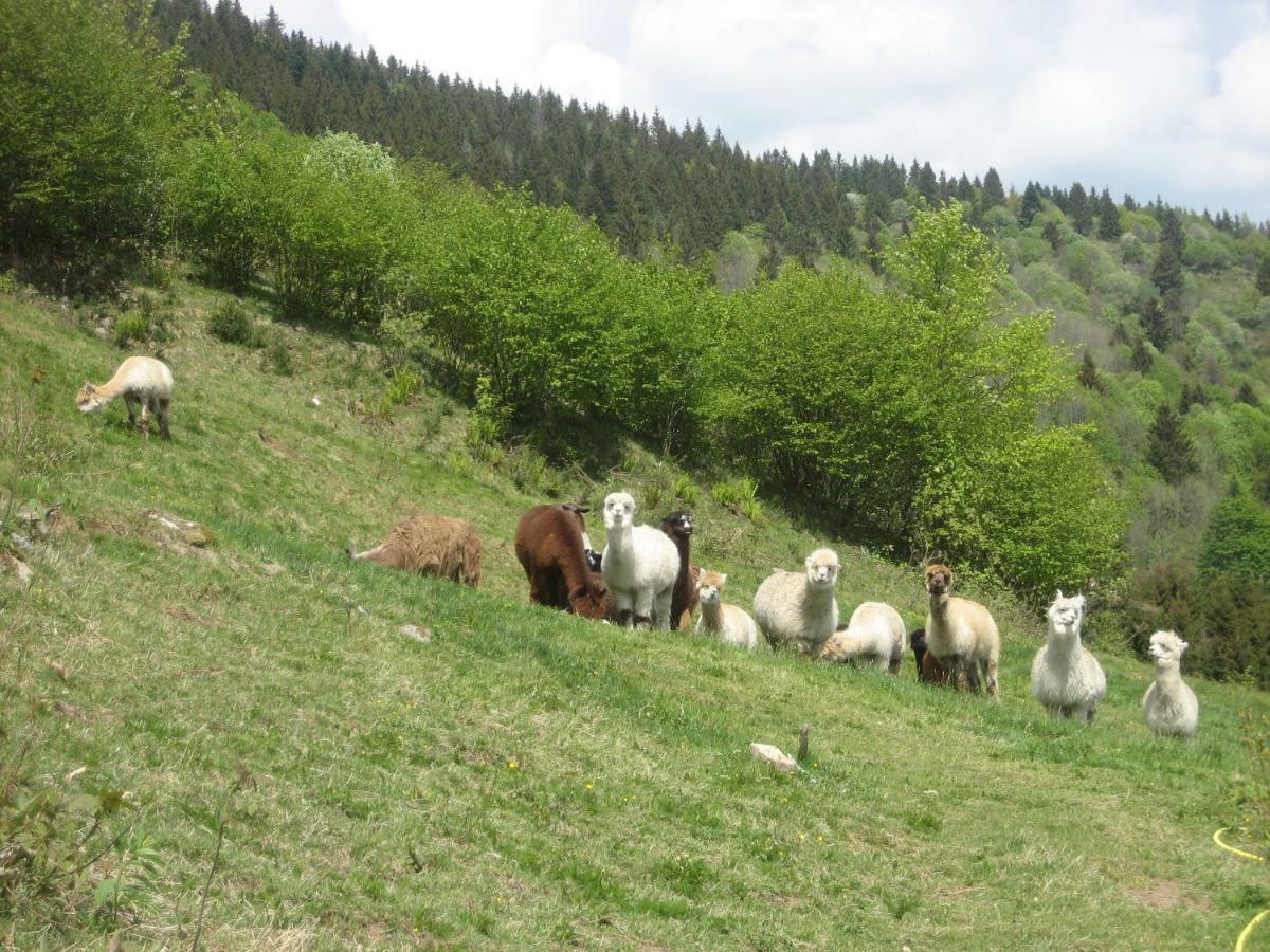 Les Bruyeres Wi Fi Villa La Bresse Luaran gambar